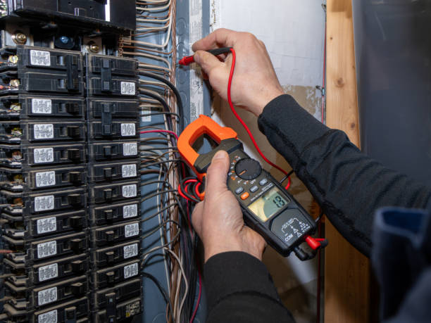 Best Electrical Troubleshooting Services  in Quincy, MI